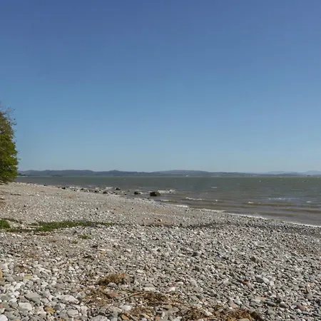 Driftwood * Ulverston